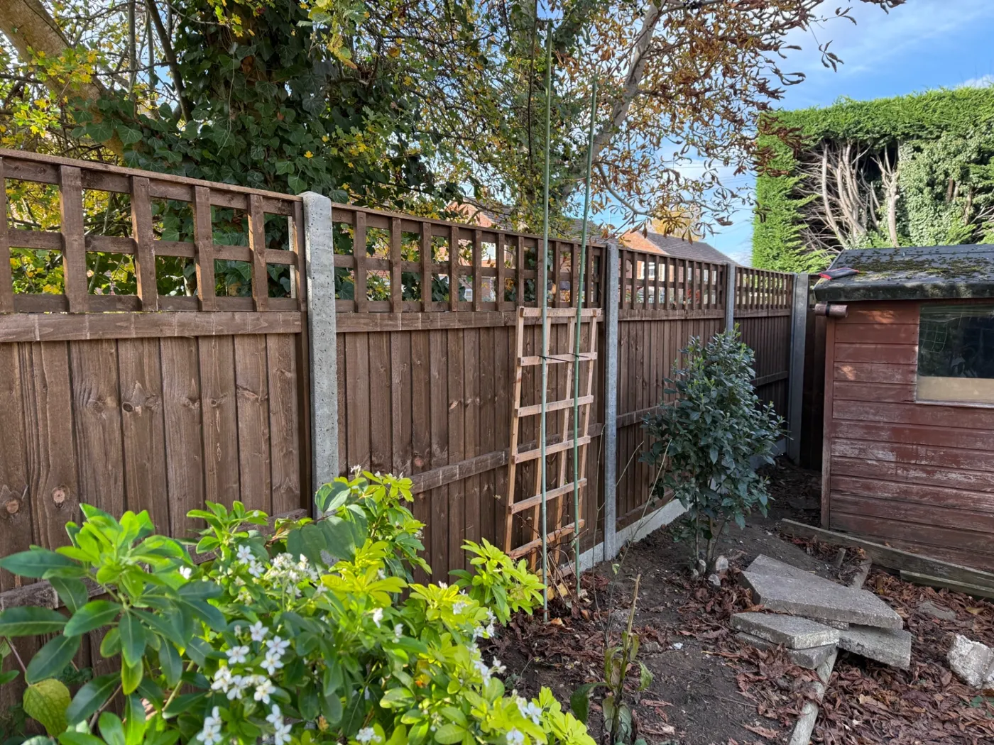 Trellis topped fence panels with concrete posts fitted beside a garden shed
