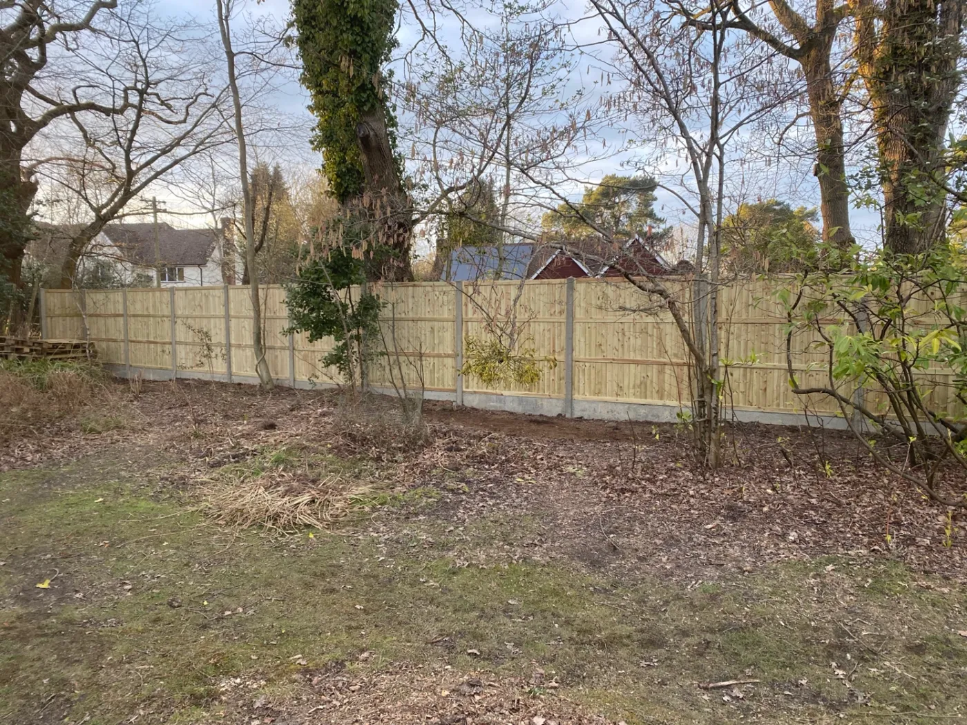 New fence line installed along a wooded boundary in a Hampshire garden