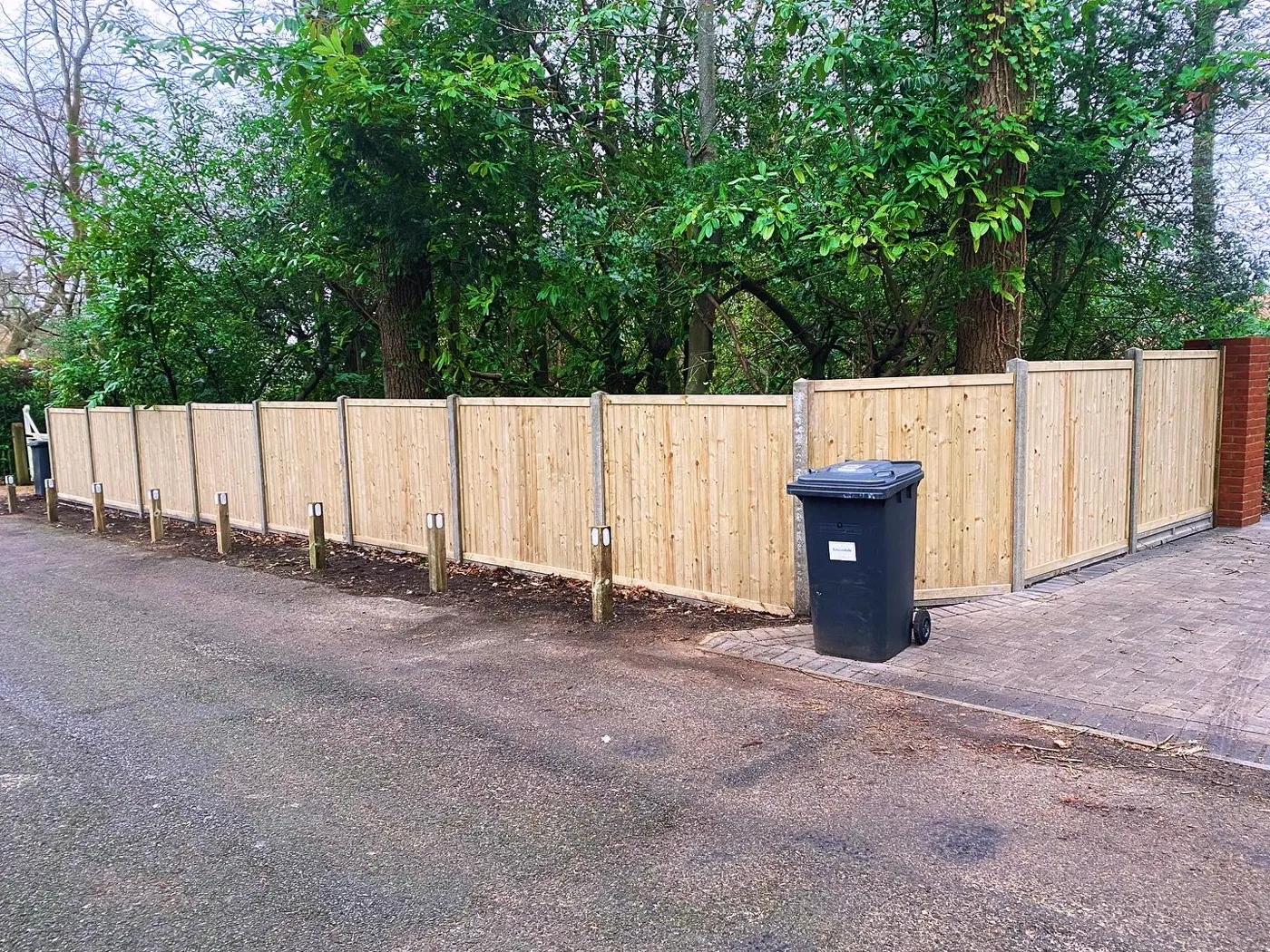 Long run of new garden fence panels along a driveway boundary in Hampshire
